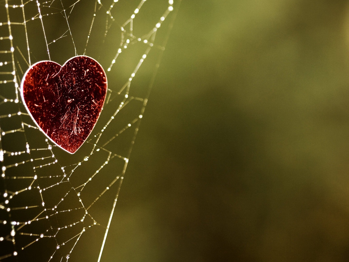 Запутавшаяся любовь.. обои