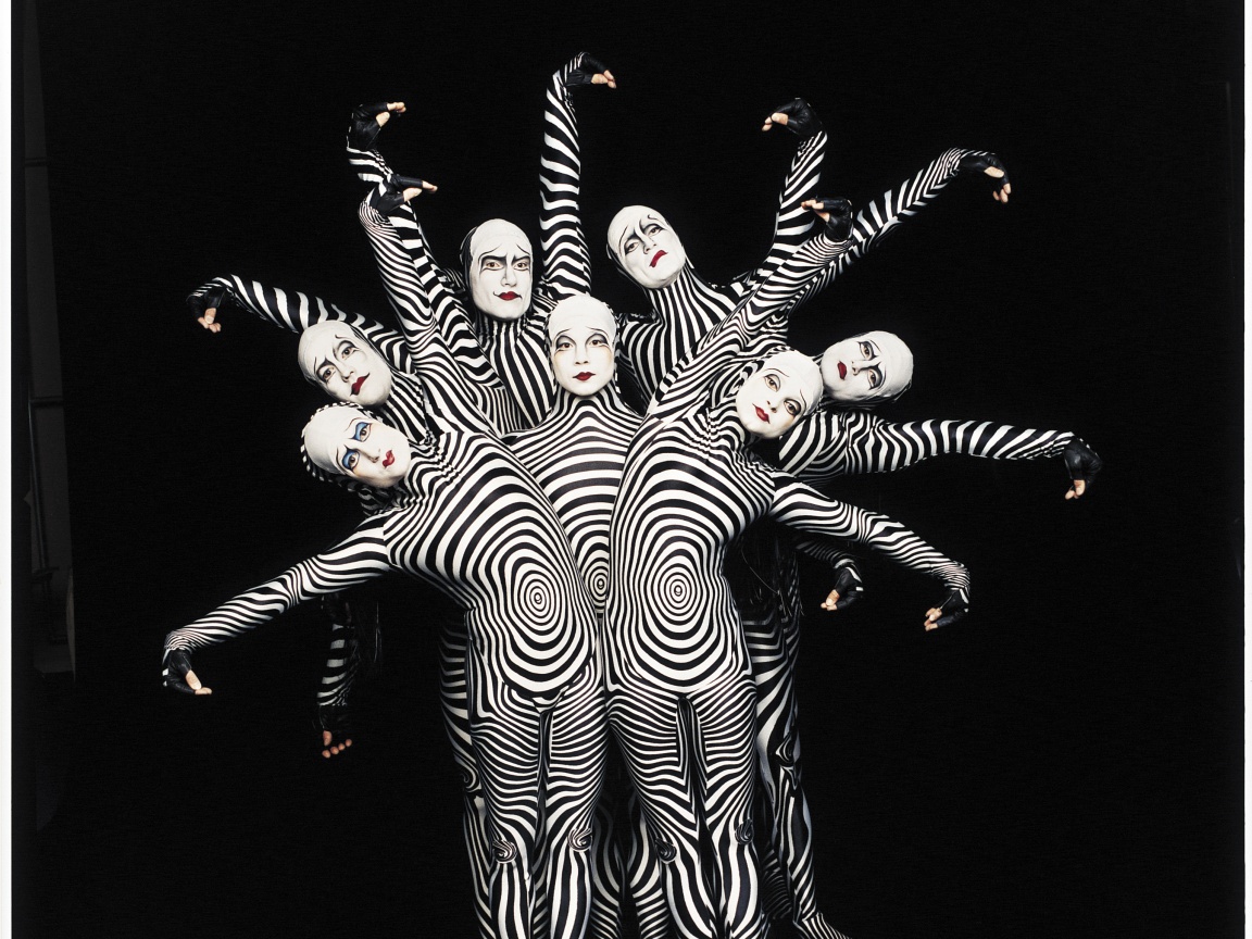 Зеброиды (актеры цирка дю солей) обои