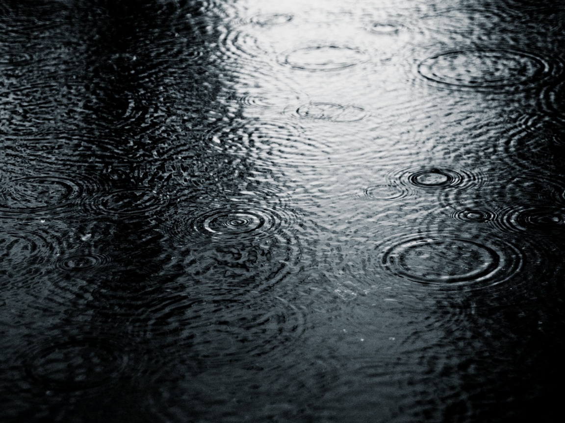 Дождь обои