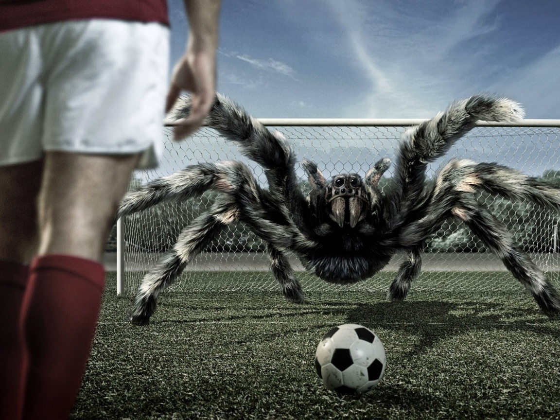 Вратарь обои