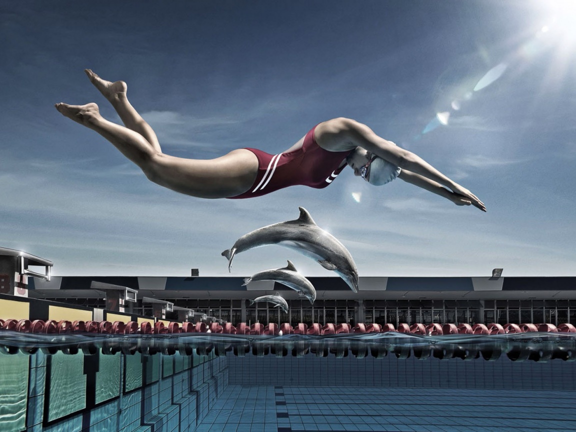 Соревнование обои