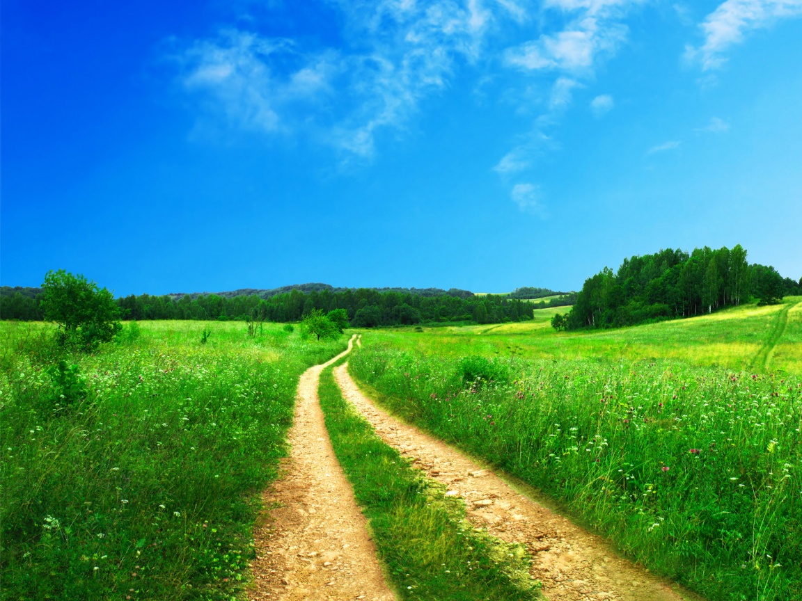 Дорога через луг обои