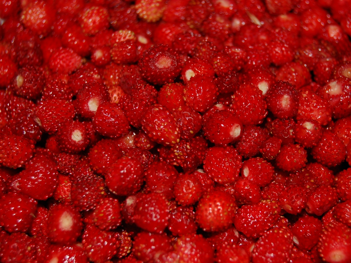 Земляника обои