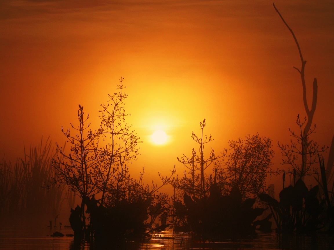 Доисторическое утро обои