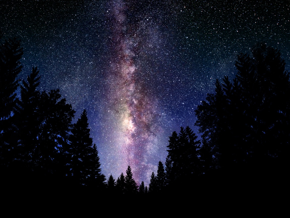 Лесной пейзаж обои