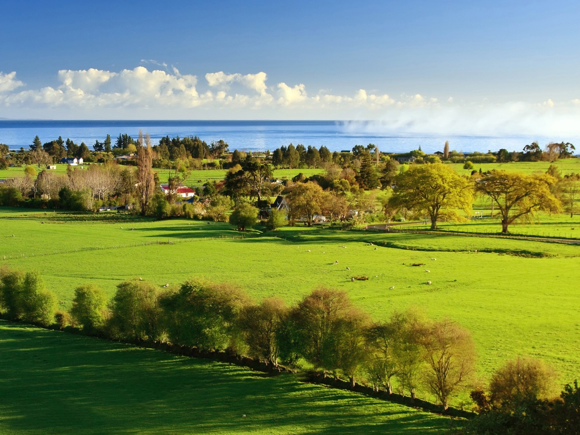 Сельская природа обои