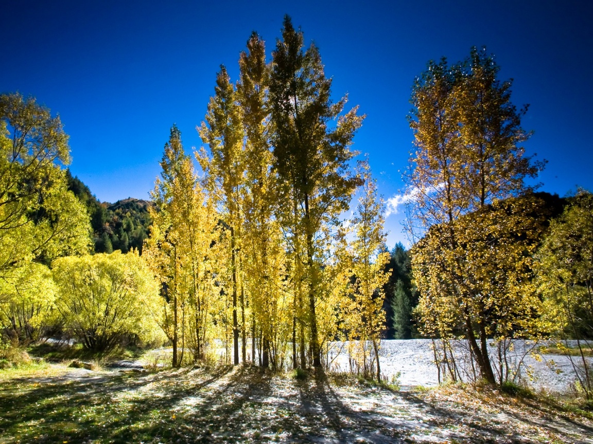 Осень в Новой Зеландии обои