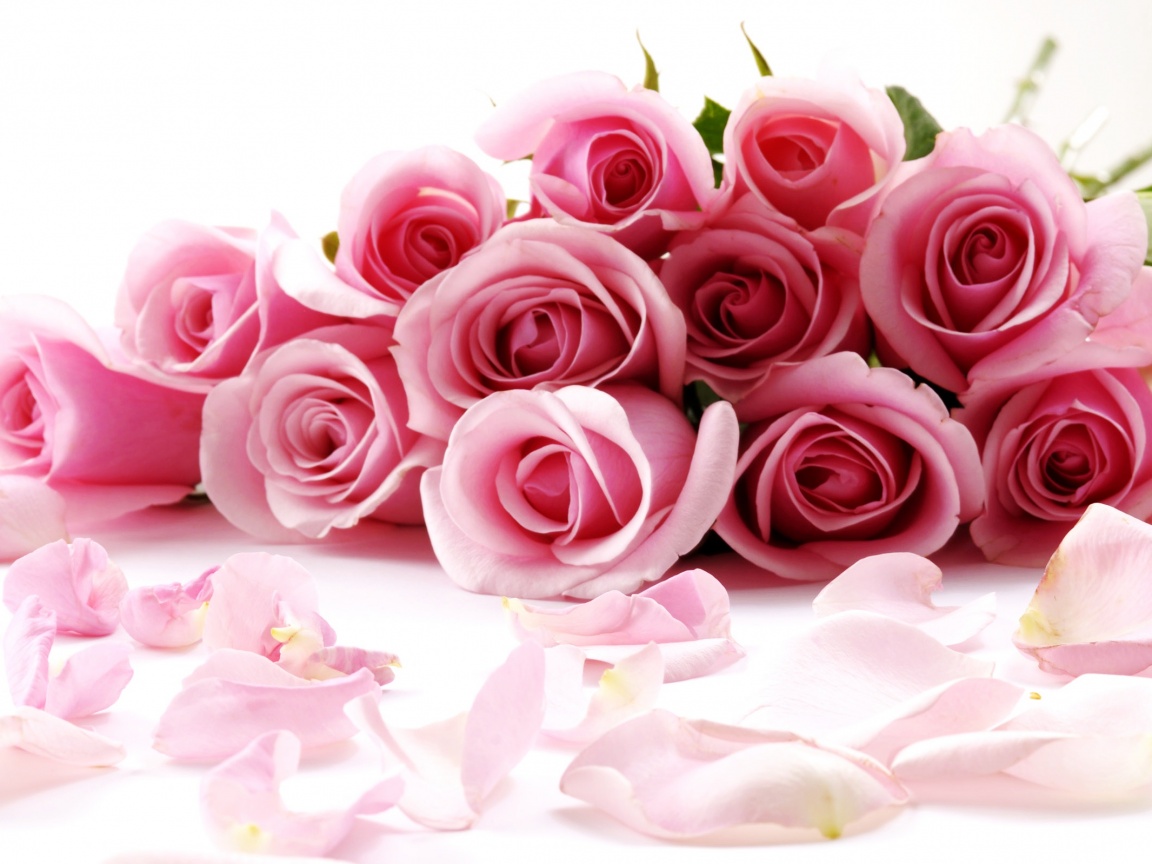 Букет роз обои