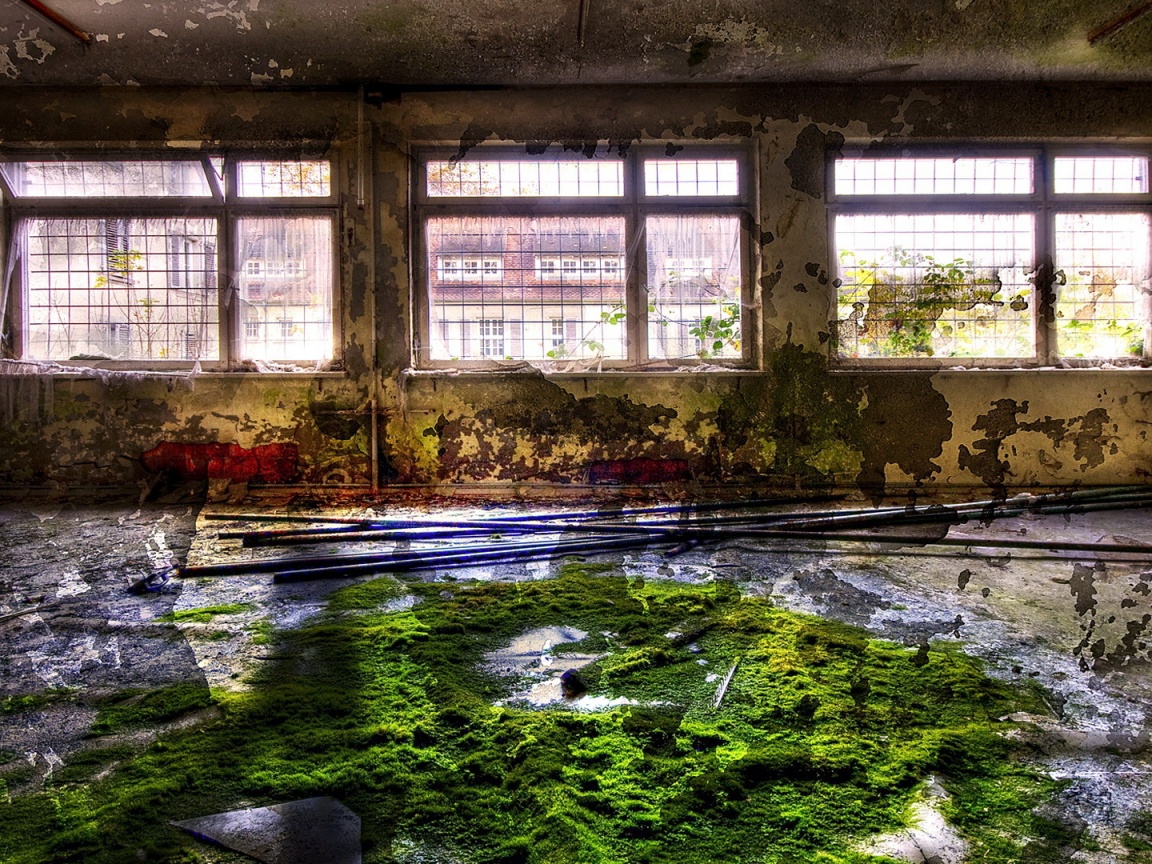 Запустение обои