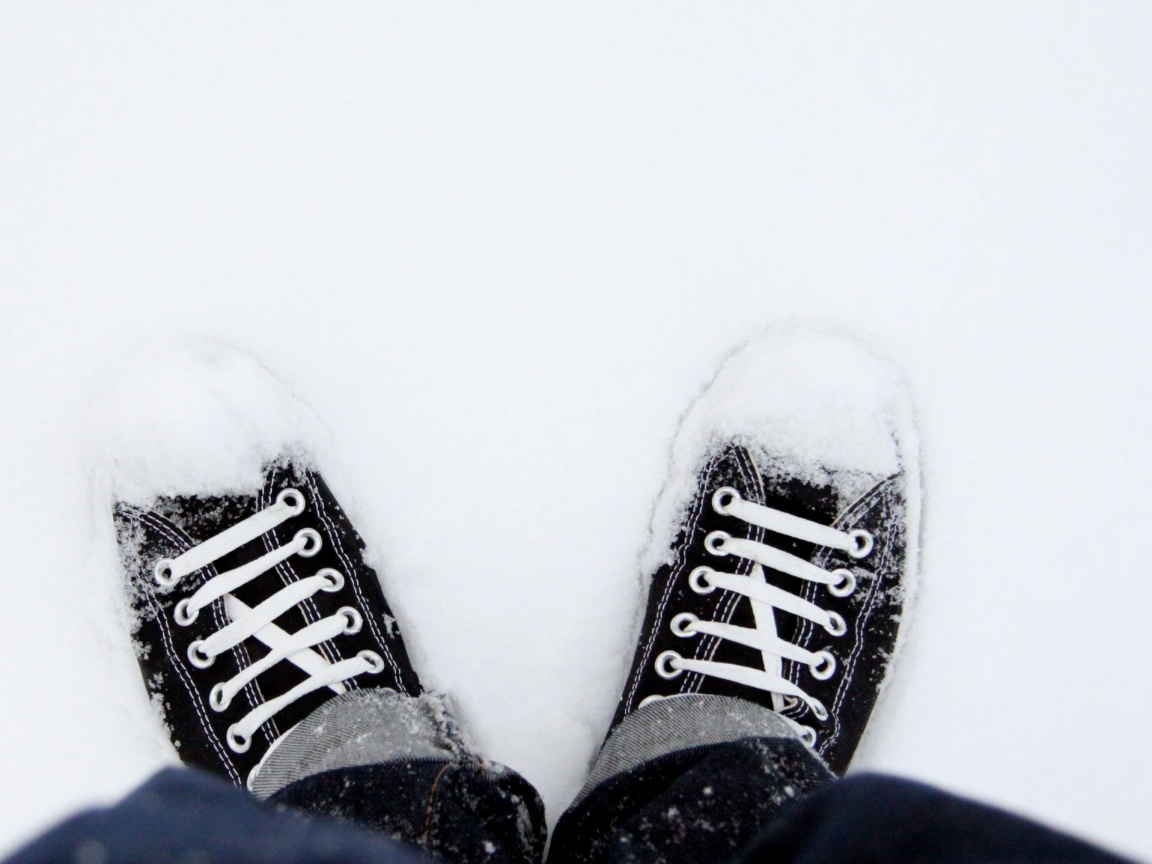 Дурак зимой в кедах обои