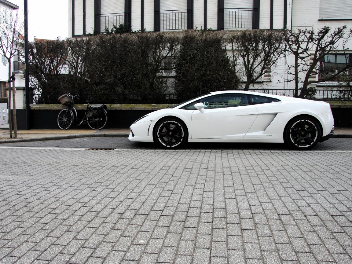 Белый Lamborghini обои