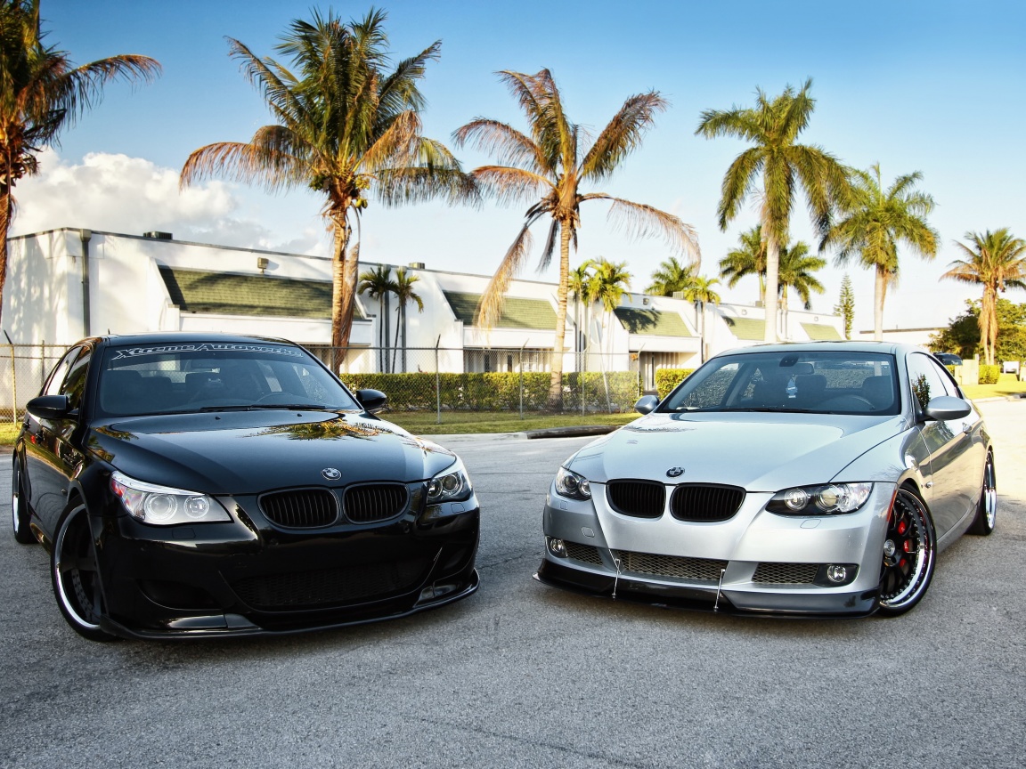 Две БМВ обои