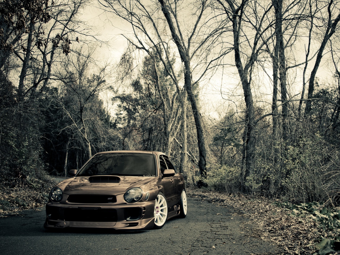 Субару Импреза на лесной дороге обои