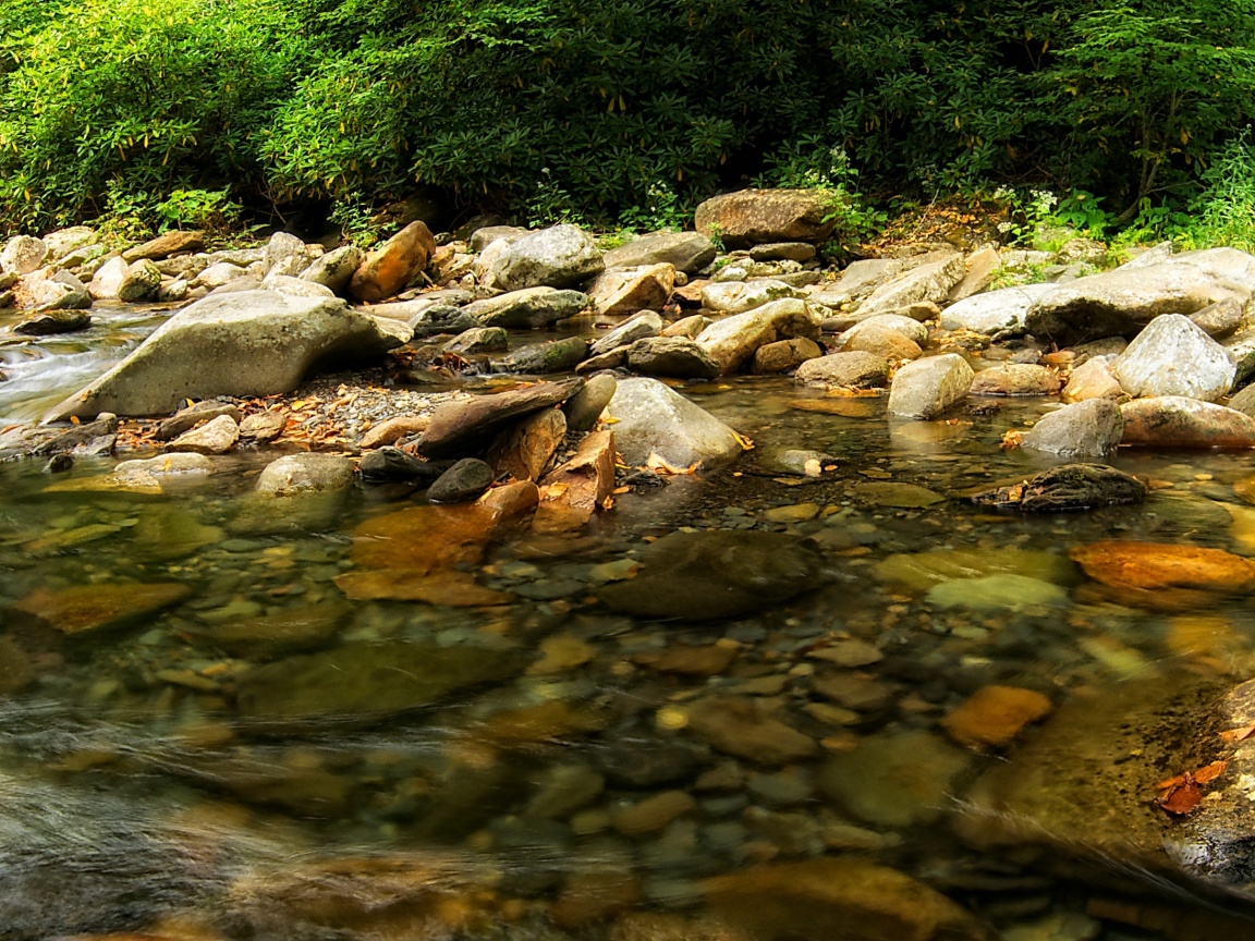 Гораня река обои