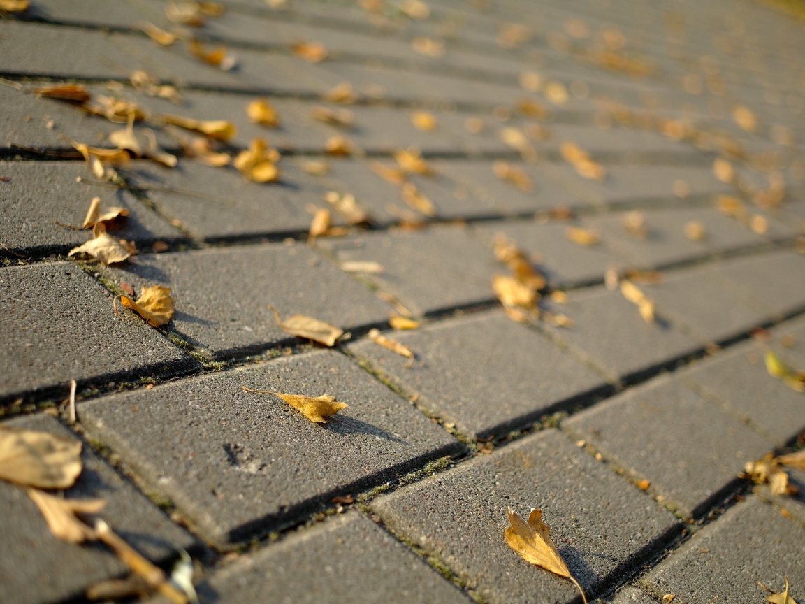 Тротуар обои