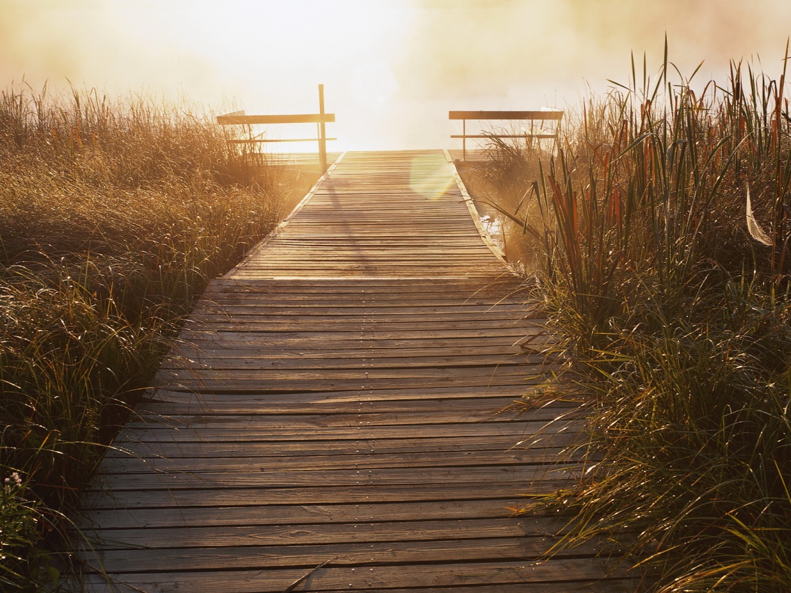 Выход к реке обои