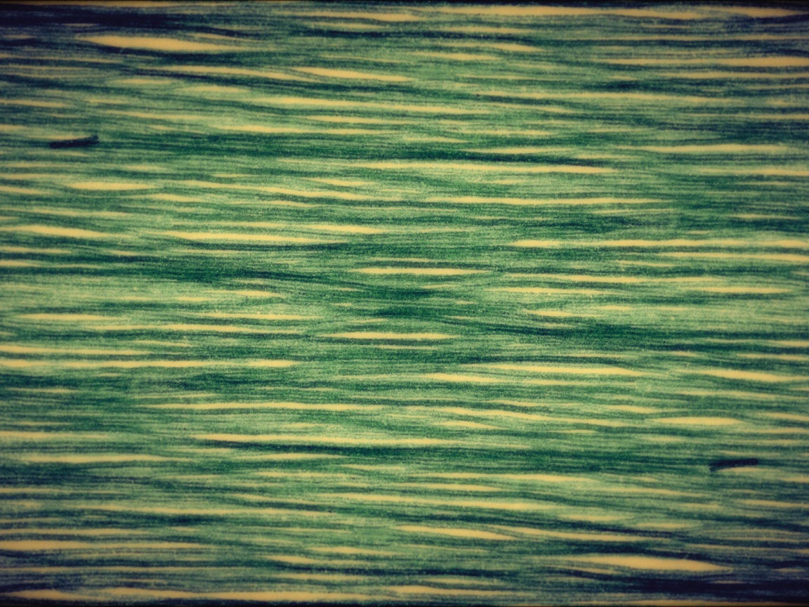 Обои для Mac Book обои