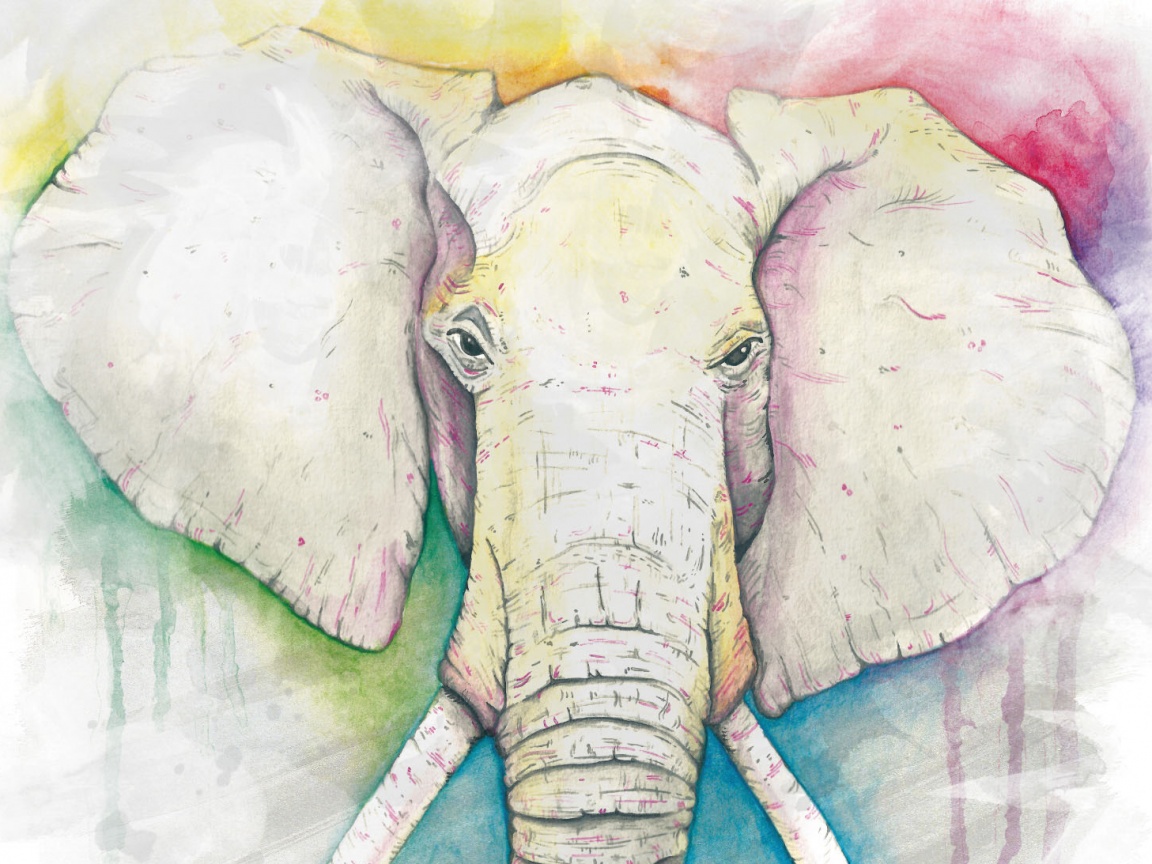 Слон обои
