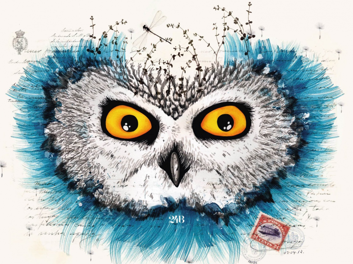 Обои сова для mac book обои