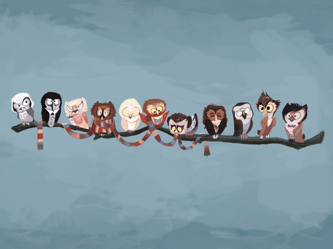 Совы на ветке обои