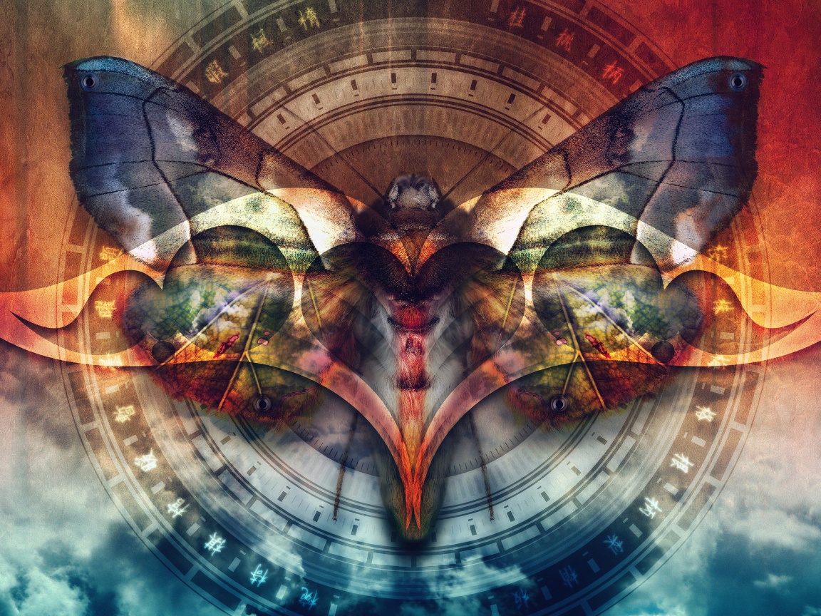 Красивая фэнтезийная бабочка обои