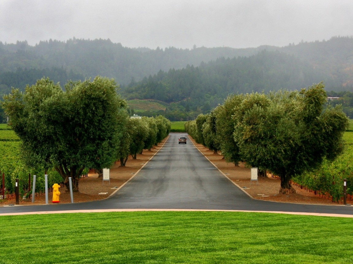 Сельский пейзаж обои