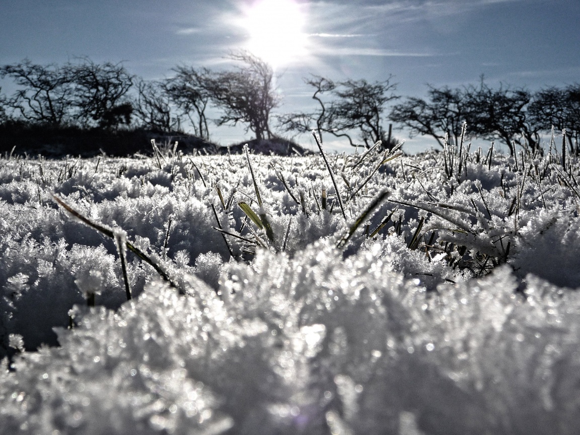 Утренний мороз обои