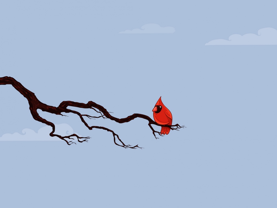 Красная птица на ветке обои