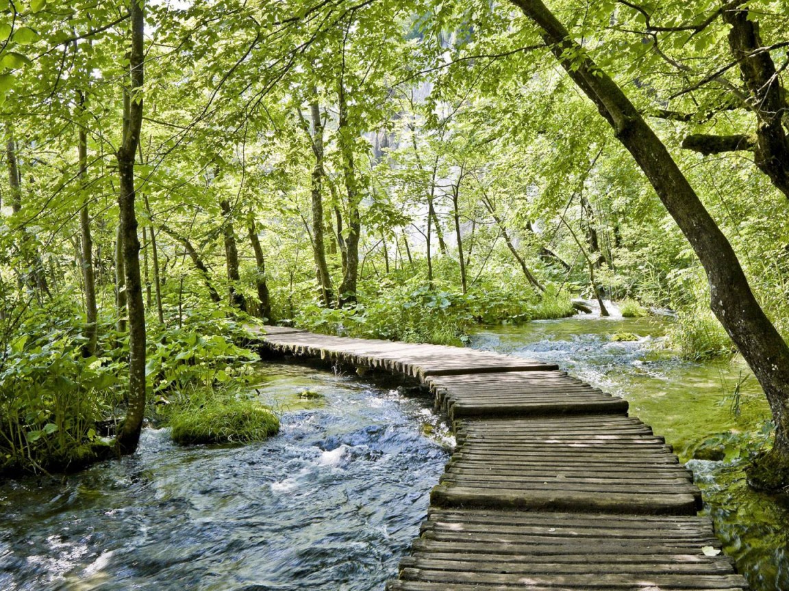 Тропинка над водой обои