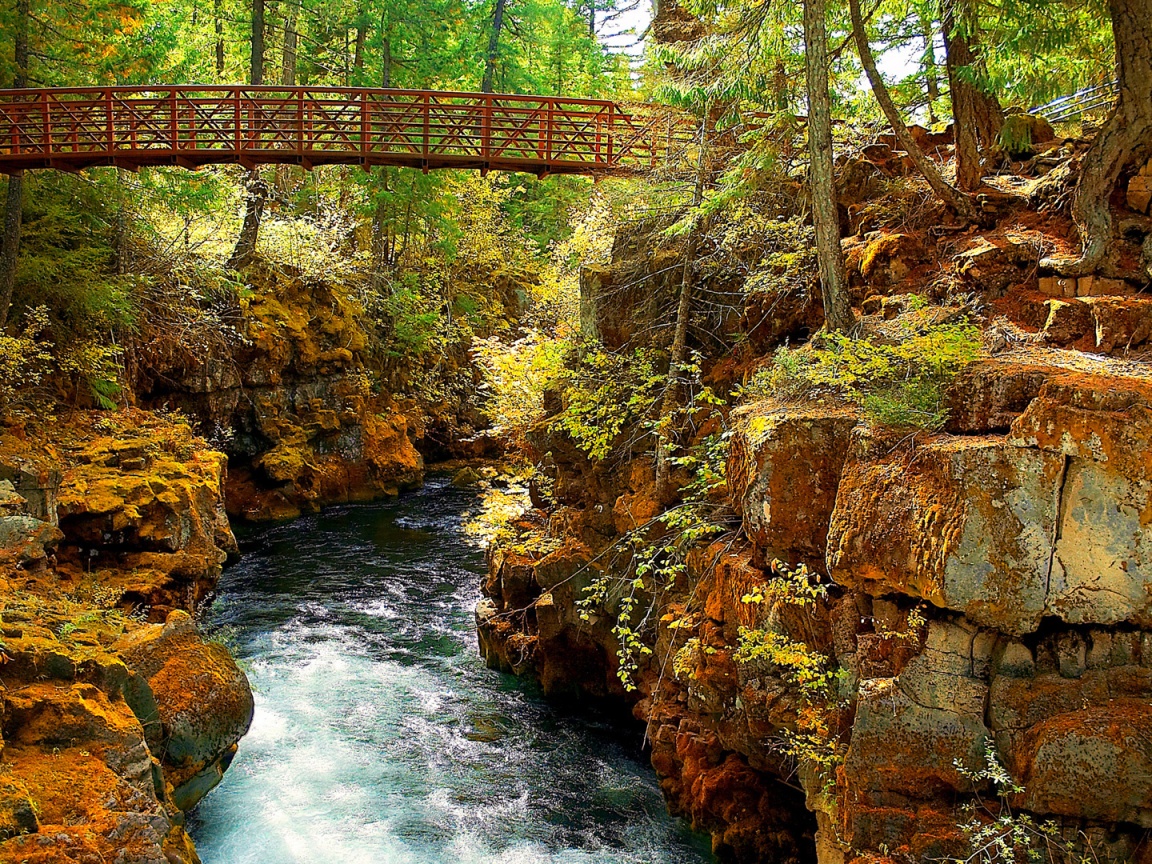 Мостик через реку в лесу обои