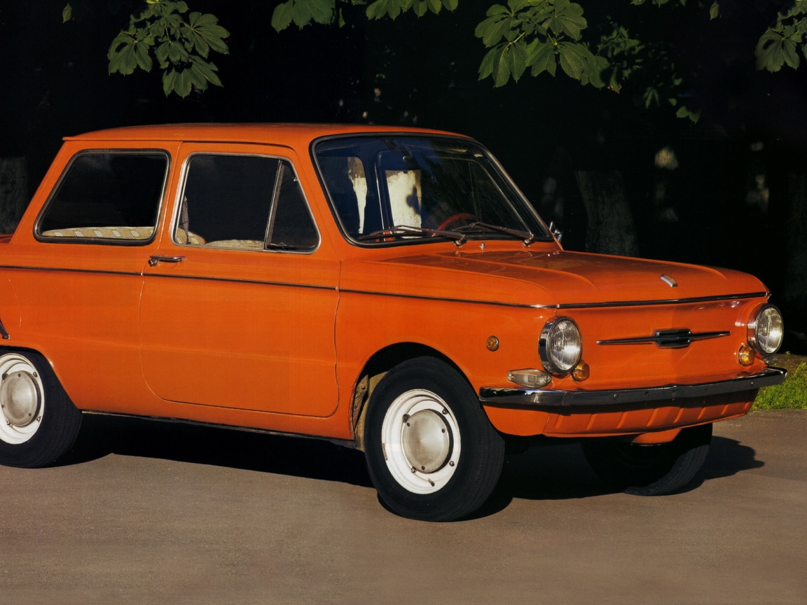 Оранжевый ушастый запорожец обои