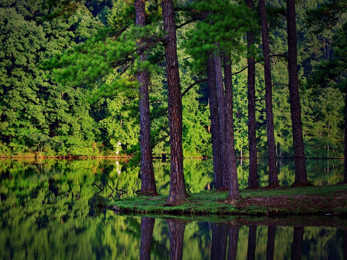 Островок посреди озера обои