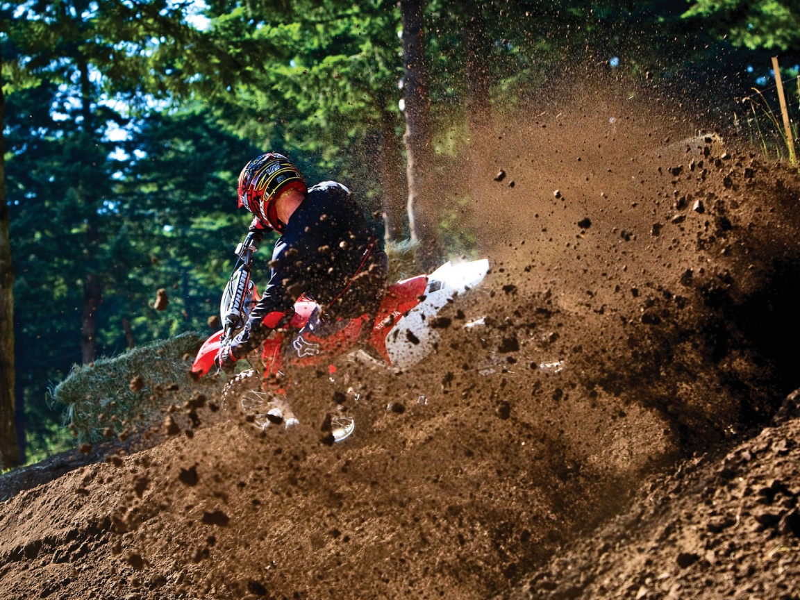 Моторалли обои