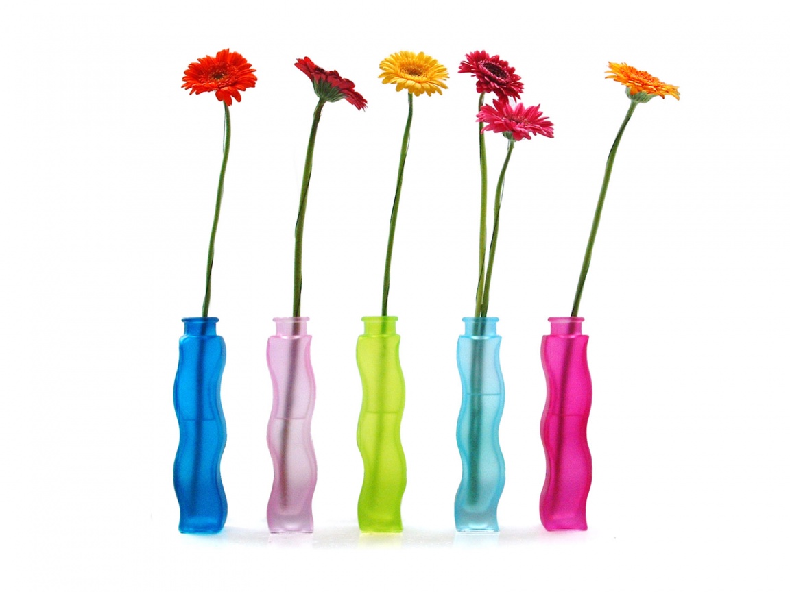 Герберы в изогнутых вазах обои