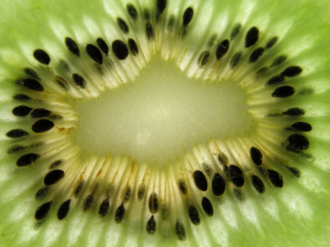 Макро фото киви в разрезе обои