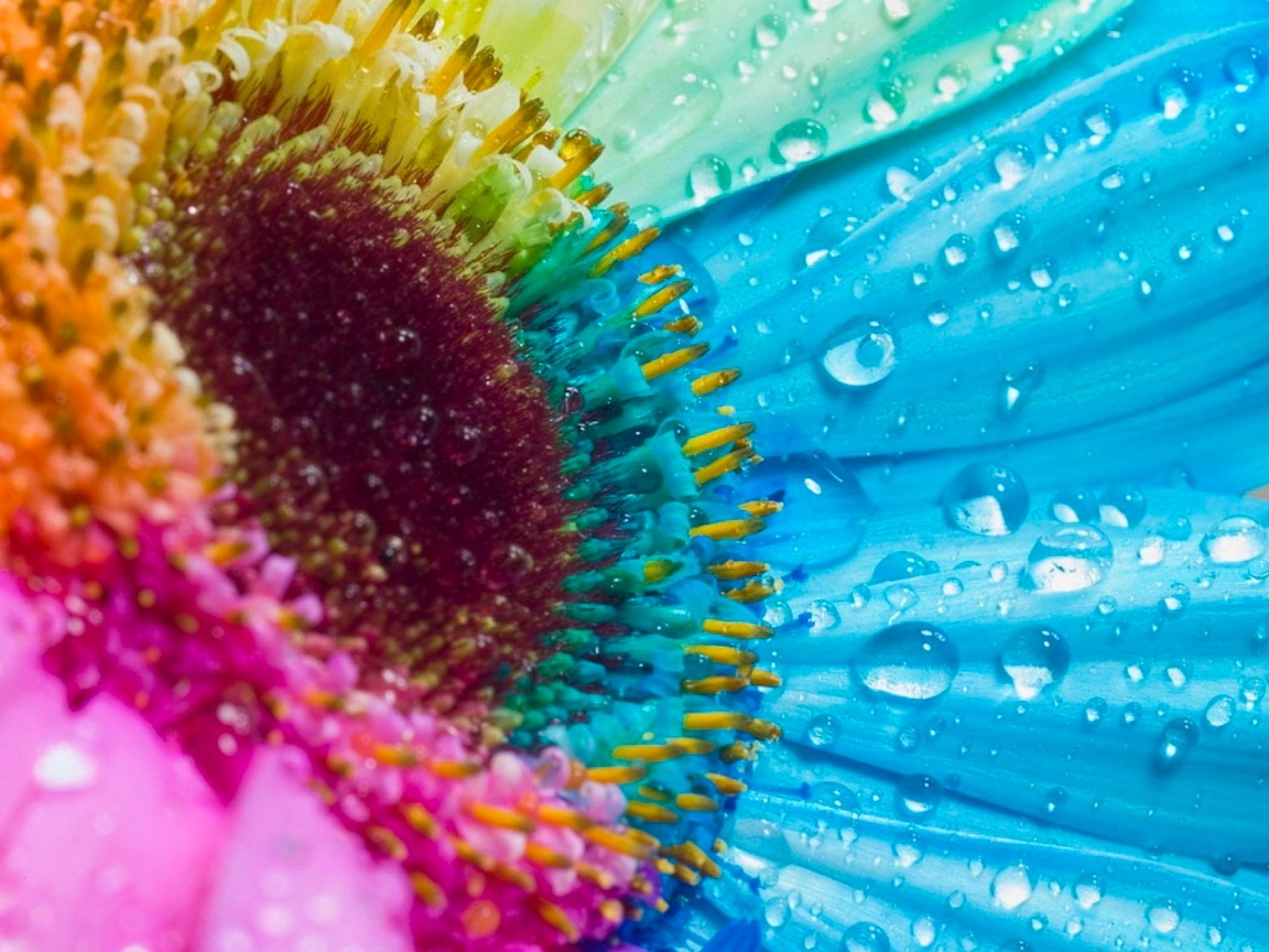 Цветик семицветик обои