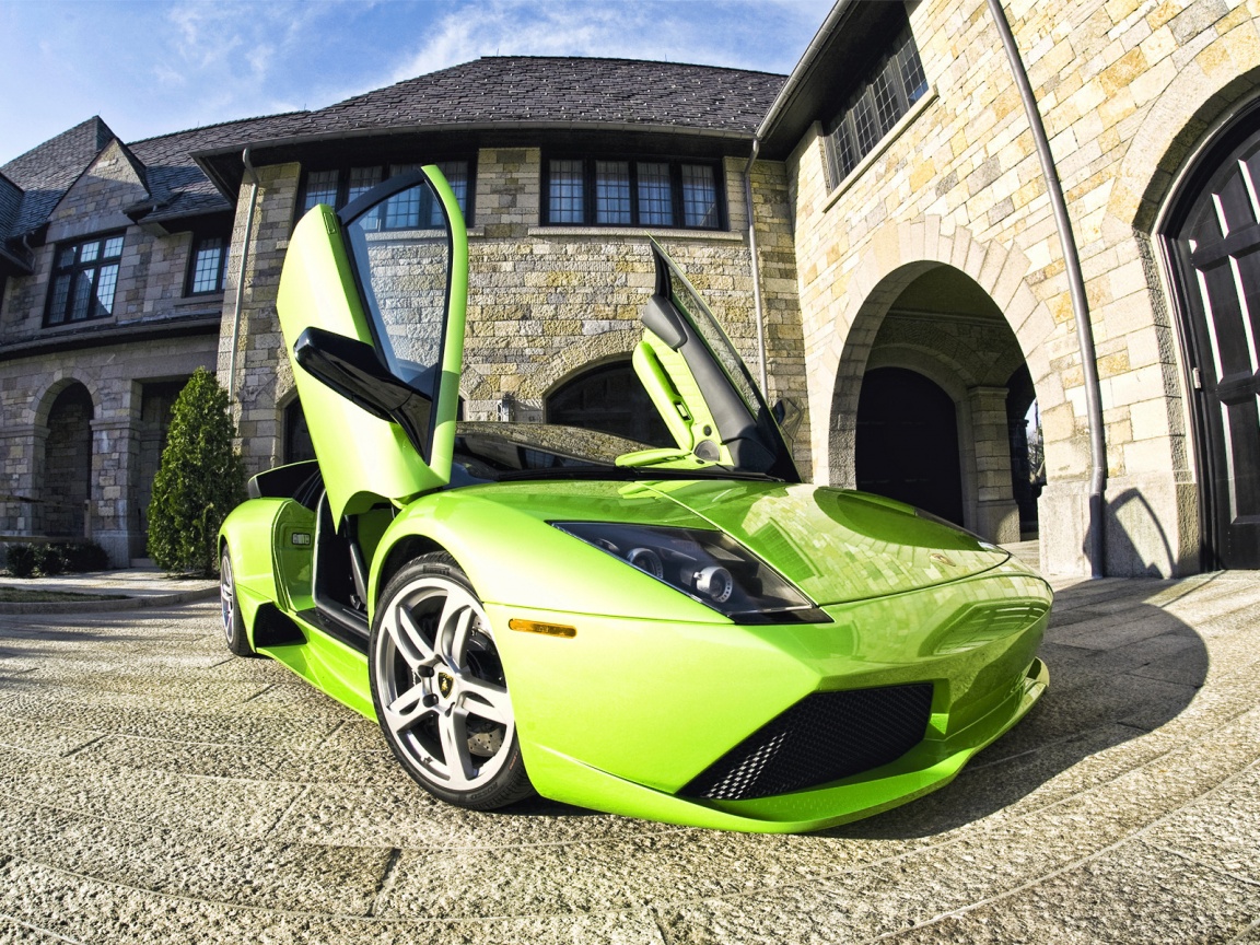 Зеленая ламба обои