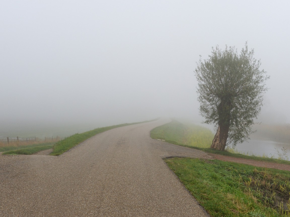 Дорога растворяется в тумане обои