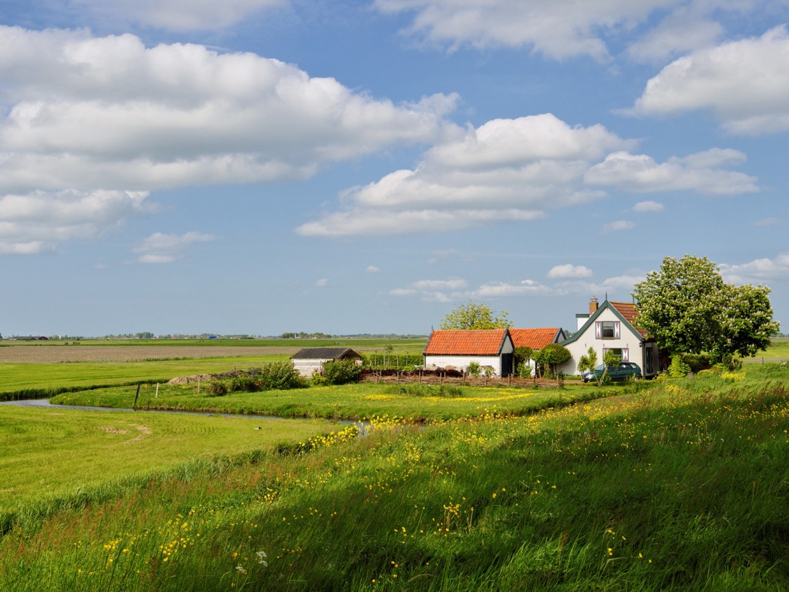 дом на лугу обои