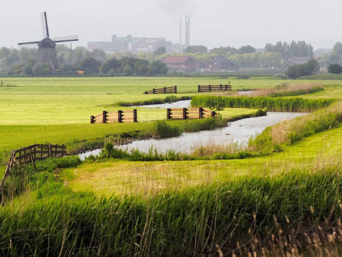 Пригород обои