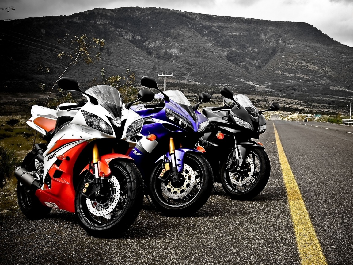 Раллийные мотоциклы на дороге обои