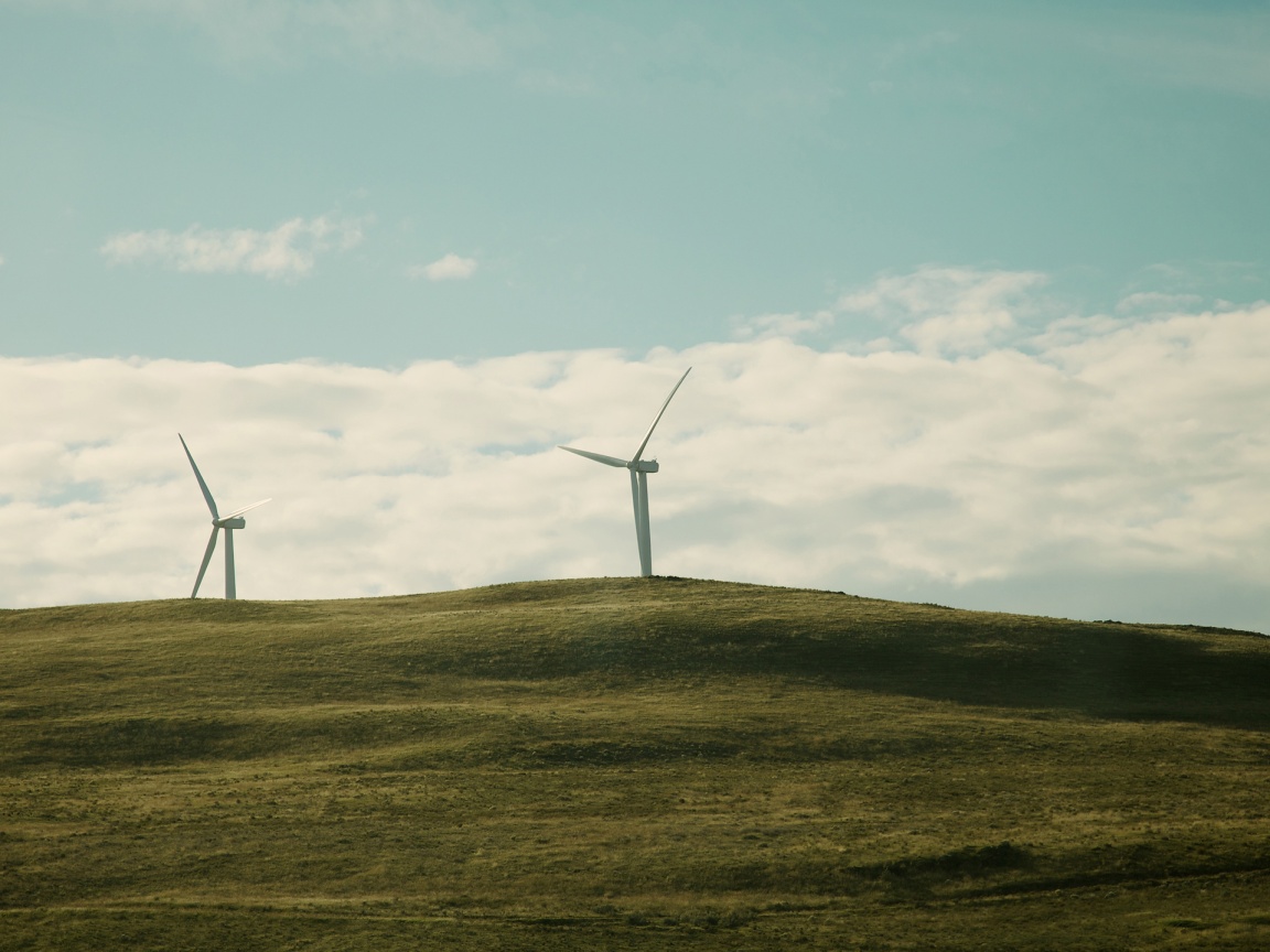 Ветряки в поле обои