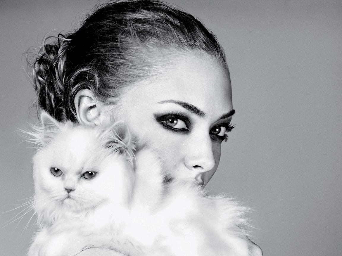 Девушка с кошкой обои