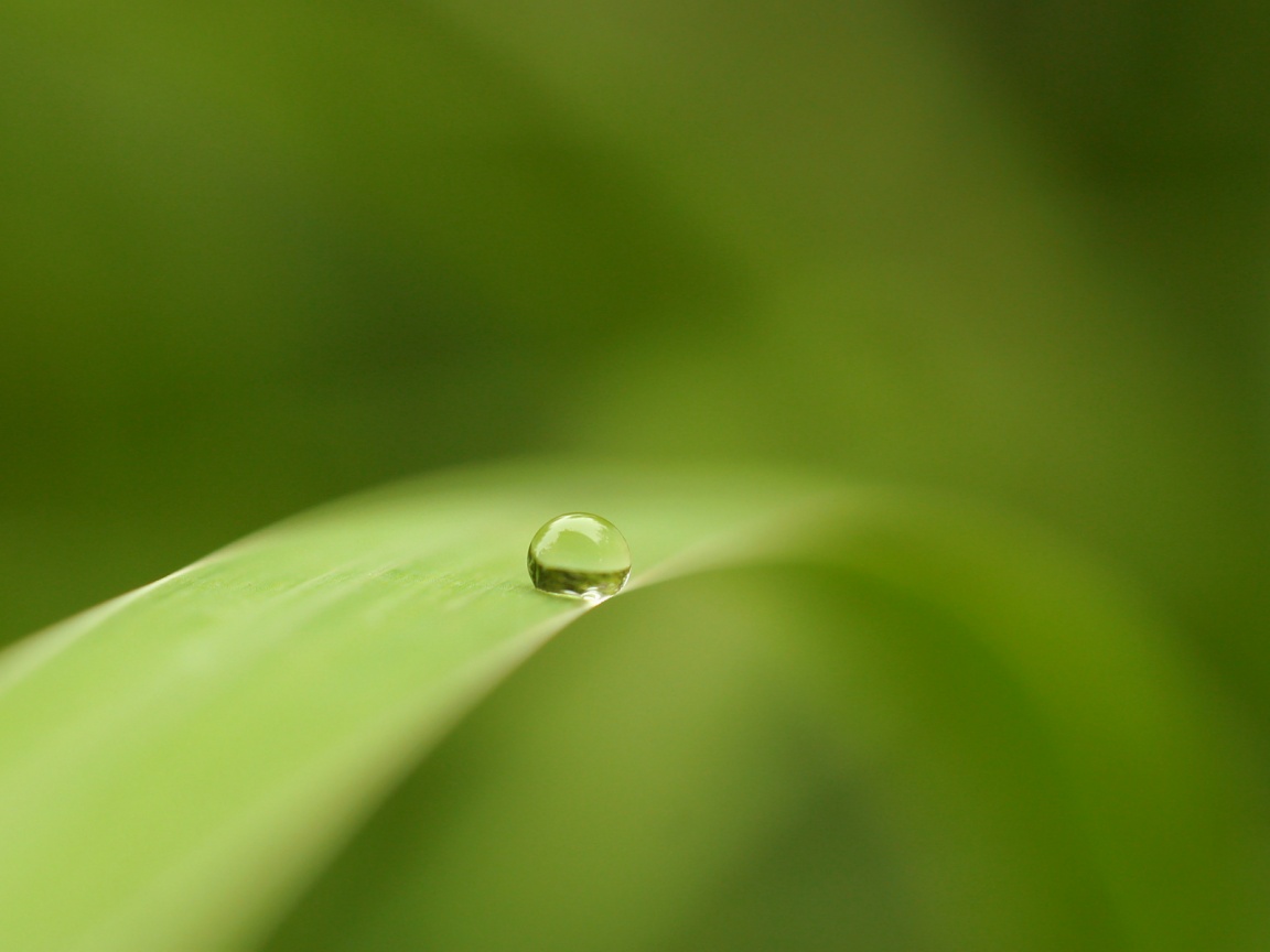 Капелька воды обои