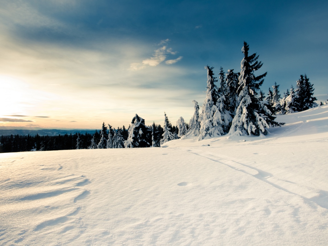 Зимние просторы обои