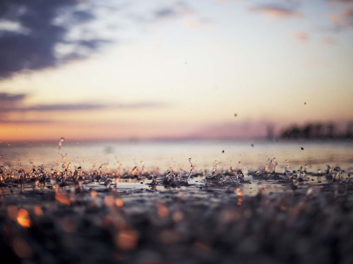 Дождь в макро обои