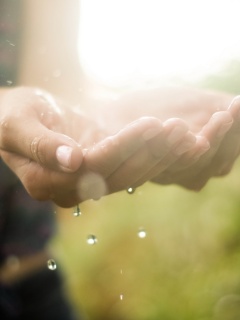 Дождь в ладонях обои