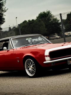 Красный монстор обои