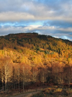 Золотая осень обои