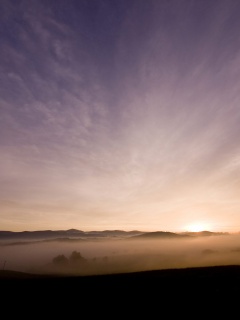 Утренний туман обои